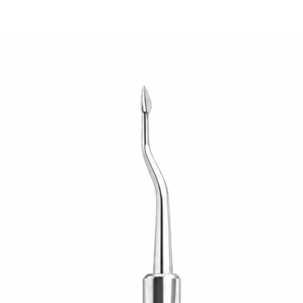 Bernard Elevator, Angled – dental root elevators | ErgoDenta