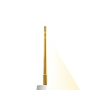 Elevator Gold, Straight, 1mm, Yellow – dental luxating elevators | ErgoDenta