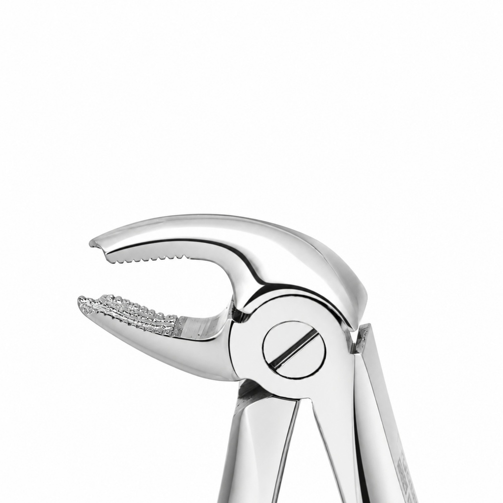 Fig. 6, Lower Molars – dental diamond child forceps | ErgoDenta