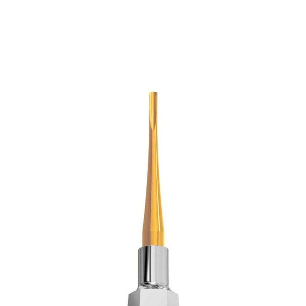 6001-2G Extra – dental luxating elevators | ErgoDenta