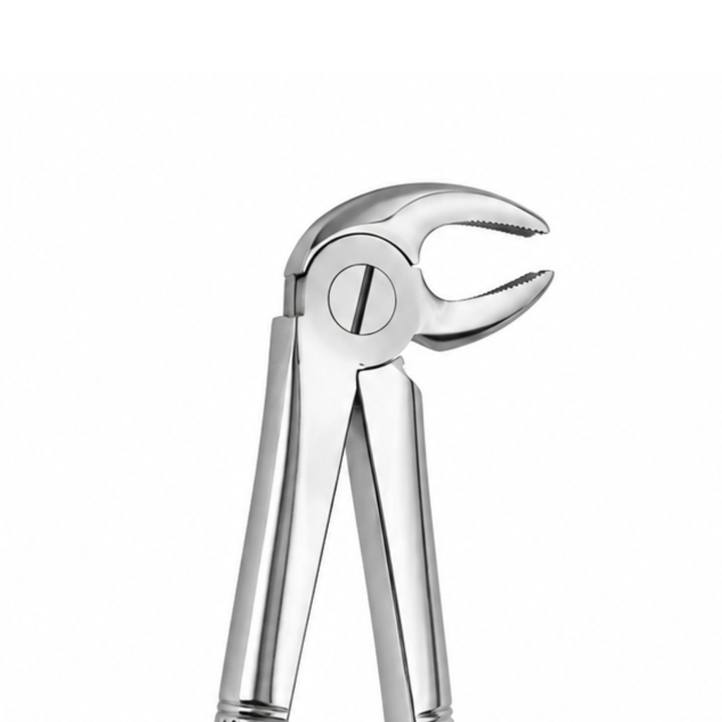 Lower Molars, Right – dental standard forceps | ErgoDenta