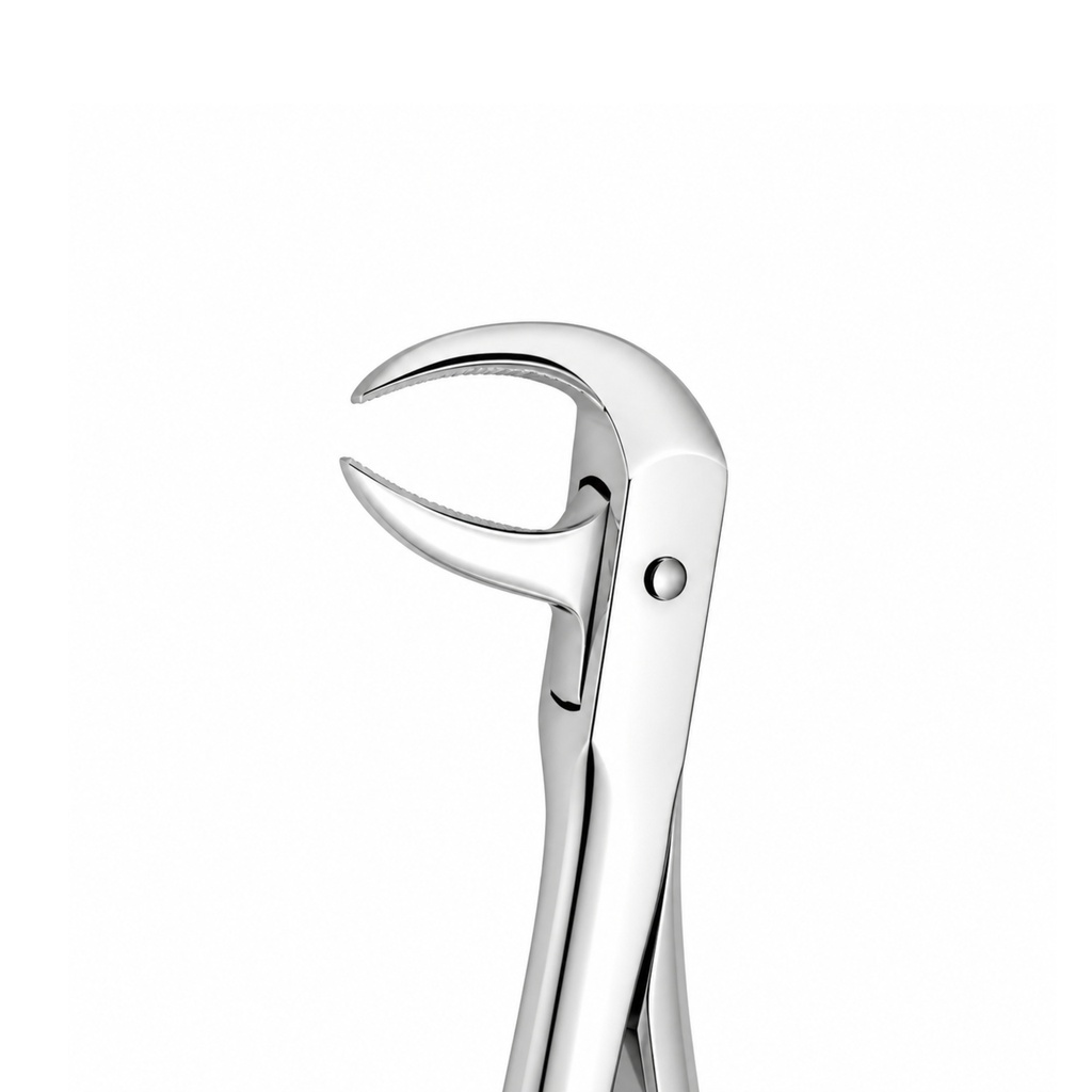 Lower Molars – dental diamond forceps | ErgoDenta