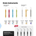 Endo Explorers