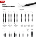Endo Spreaders & Pluggers