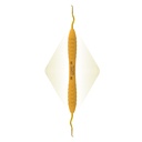 Mini Duplex Curette | ErgoRazor®