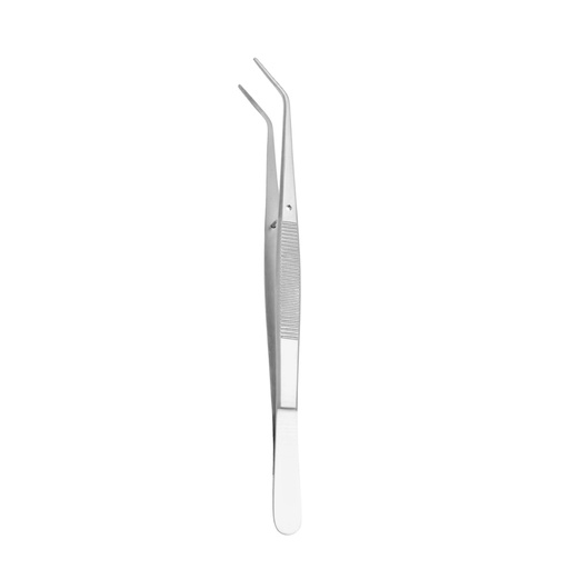 College Tweezer, Long Serrated — ErgoDenta best seller