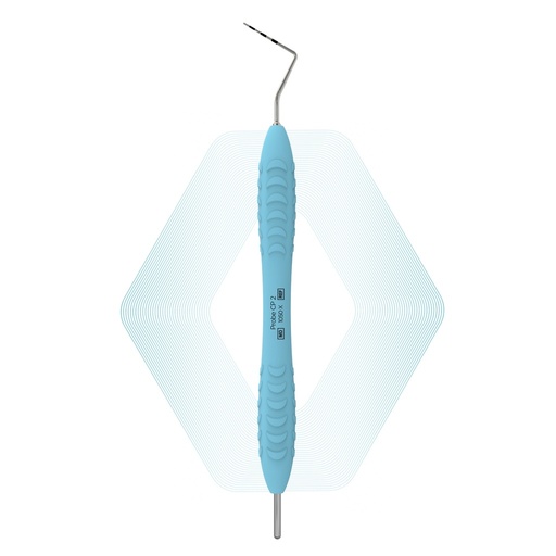Probe CP-2 | ErgoDenta