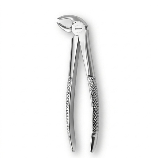Lower Molars, Left | Standard Extraction Forcep | ErgoDenta
