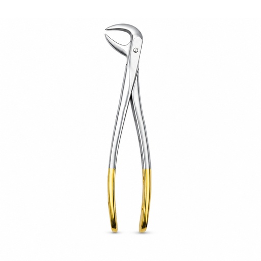 Lower Molars | Diamond Extraction Forcep | ErgoDenta