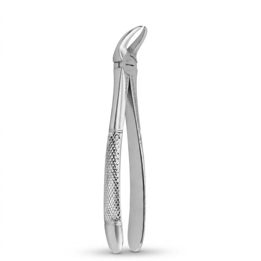 Lower Molars | Standard Extraction Forcep | ErgoDenta