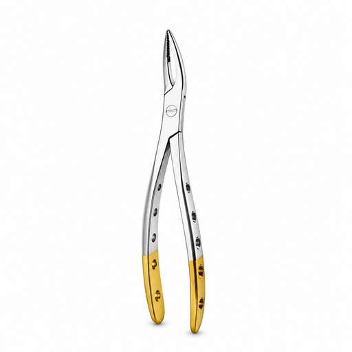 Witzel (Upper Roots) | Diamond Extraction Forcep | ErgoDenta