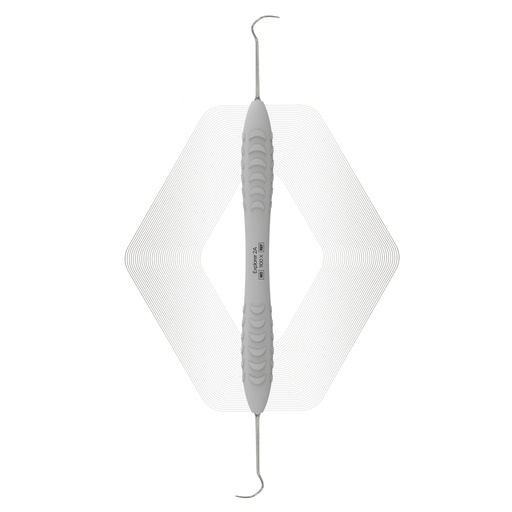 Explorer 2A | ErgoDenta
