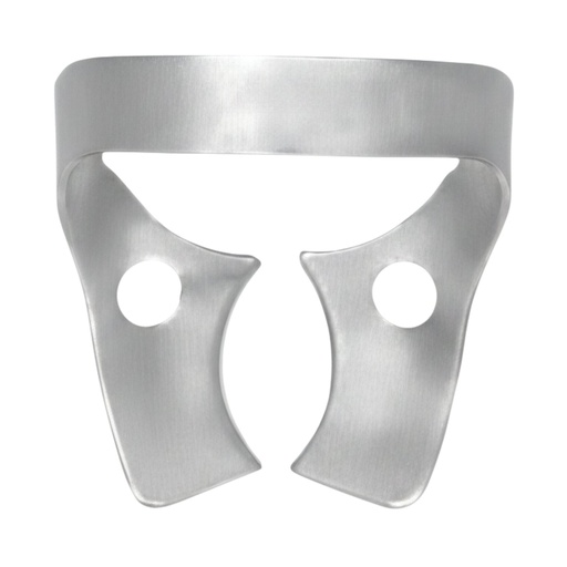 26N — Upper molar