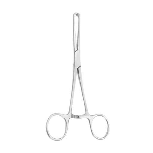 Allis Tissue Forceps, Straight | ErgoDenta