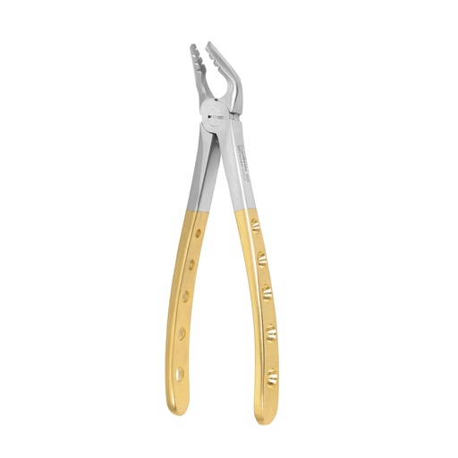 Upper Anterior — ErgoDenta best seller
