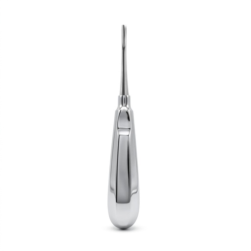 Bein Root Elevator, Straight, Fig. 2 | ErgoDenta