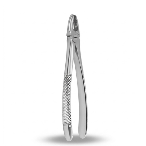 Upper Incisors and Molars — ErgoDenta best seller