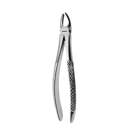 Upper Molars, Left | Standard Extraction Forcep | ErgoDenta