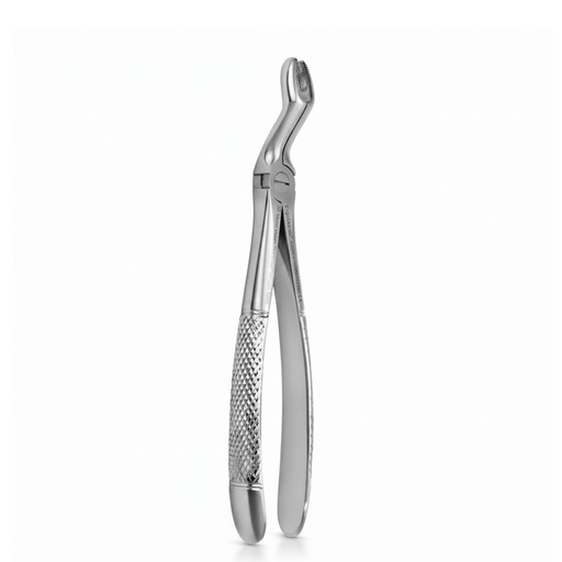 Upper Molars for Upper Wisdom Teeth | Standard Extraction Forcep | ErgoDenta