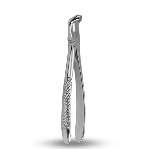 Lower Wisdom Teeth — ErgoDenta best seller