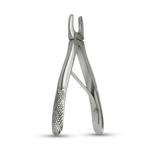 Fig. 137, Upper Incisors — ErgoDenta best seller