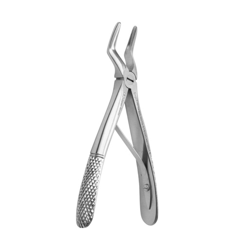 Fig. 51S, Upper Roots — ErgoDenta best seller